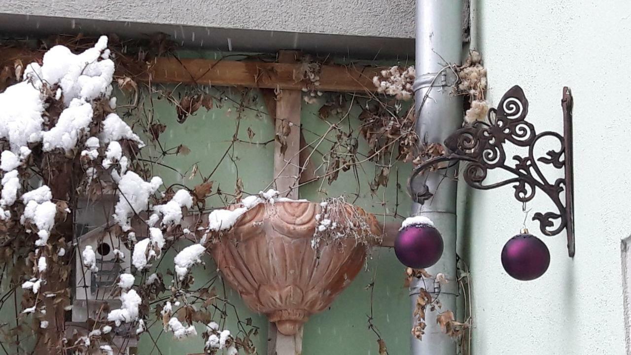 Zum Kleinen Riesen Lägenhet Erfurt Exteriör bild
